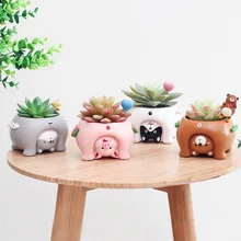 

Creative Succulent Resin Flower Pot Nordic Home Decorative Plant Micro Landscape Office Desktop Decorations Garden Accessories