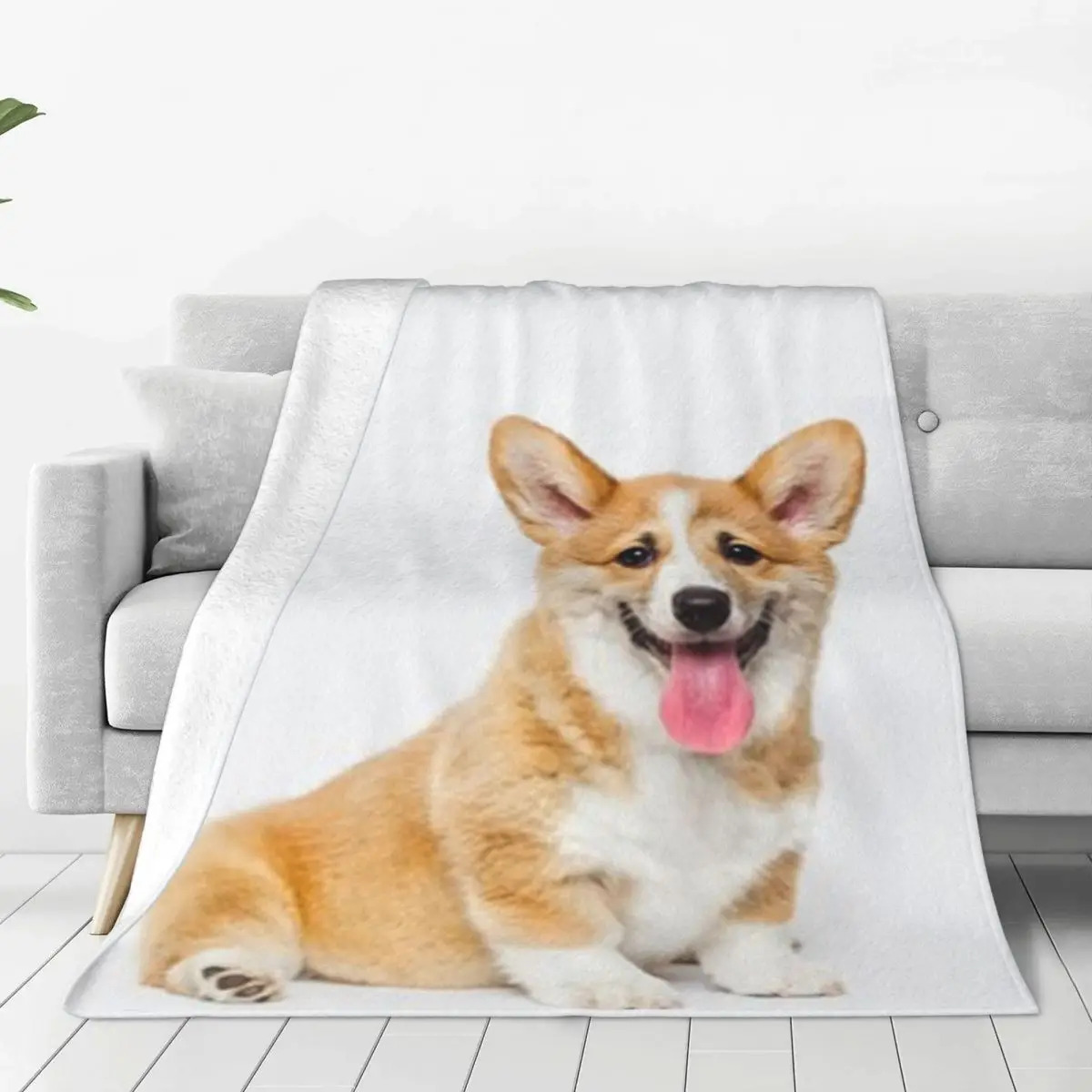 Penbrooke Welles Corgi �ö��� ���, �ε巴�� ������ ī���� �ֿ� ���� ħ��, ���ö ���� ���� ħ��, ���� ħ�뺸