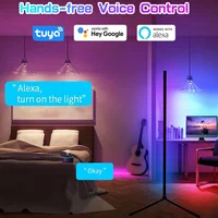 63in Living Room Corner Stand Floor Lamp Tuya Smart APP RGB LED Table Light Interior Mood Lighting for Bedroom Nordic Home Deco 2