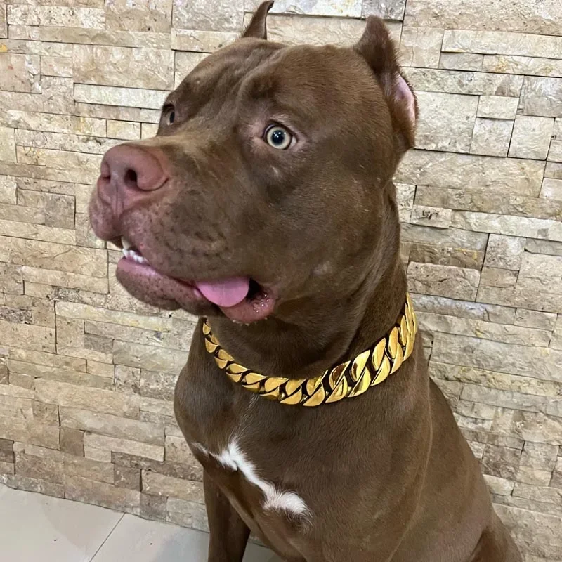 Strong Metal Dog Chain Collars Stainless Steel Pet Training Choke Collar for Large Dogs Pitbull Bulldog Silver Gold Show Collar