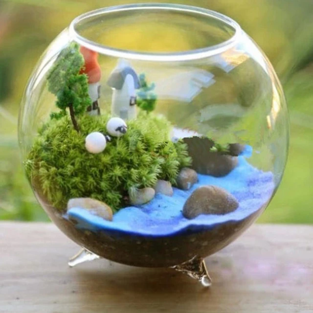 150 Best Moss terrarium ideas  moss terrarium, terrarium, garden terrarium