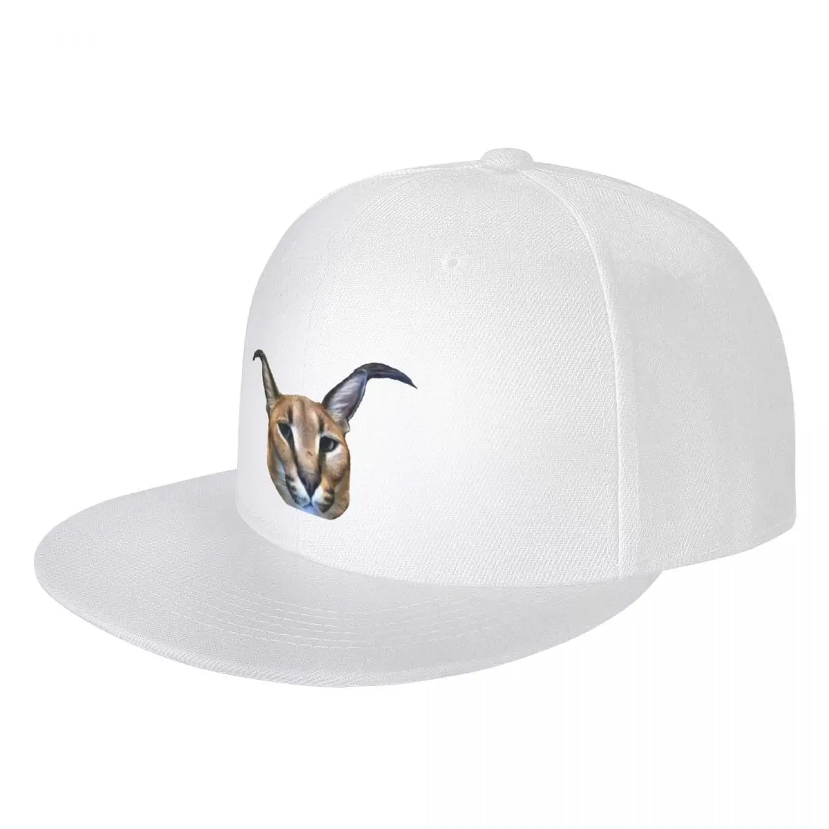 

big floppa Hip Hop Hat Sunscreen Hat girl Men's