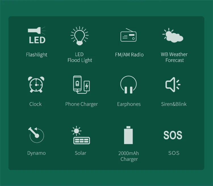 Phones & Accessories