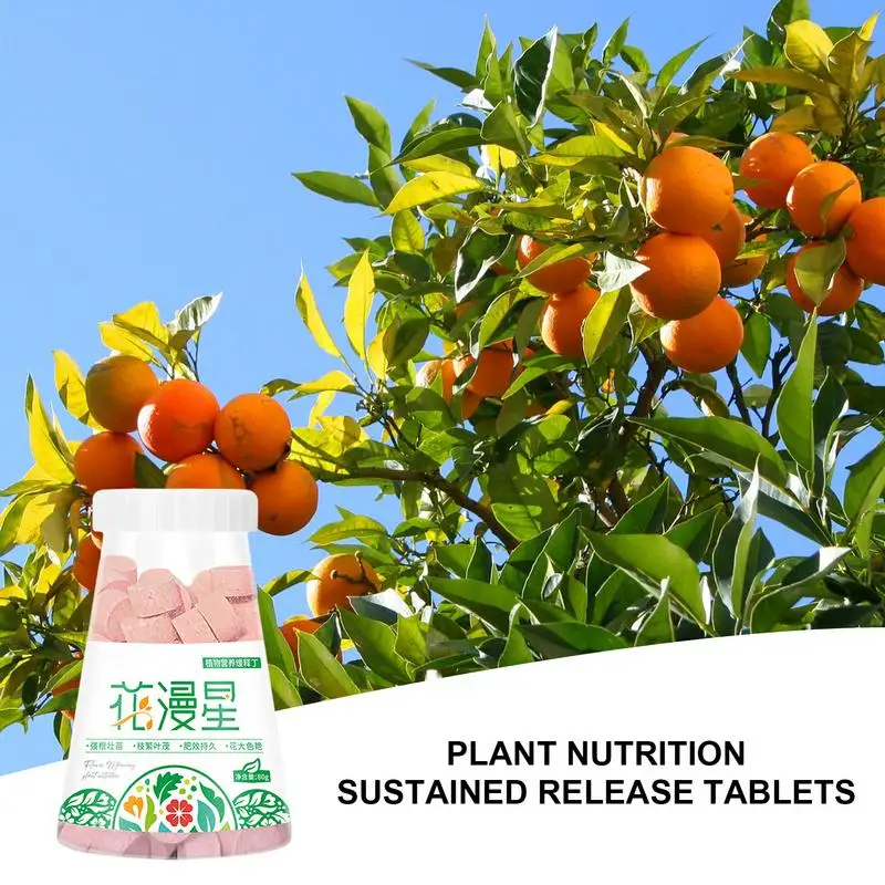 

80g Plant Fertilizer Pellets Soil Plant Flower Fertilizer Transplantation Plant Growth Tablets Healthier Roots Using Garden