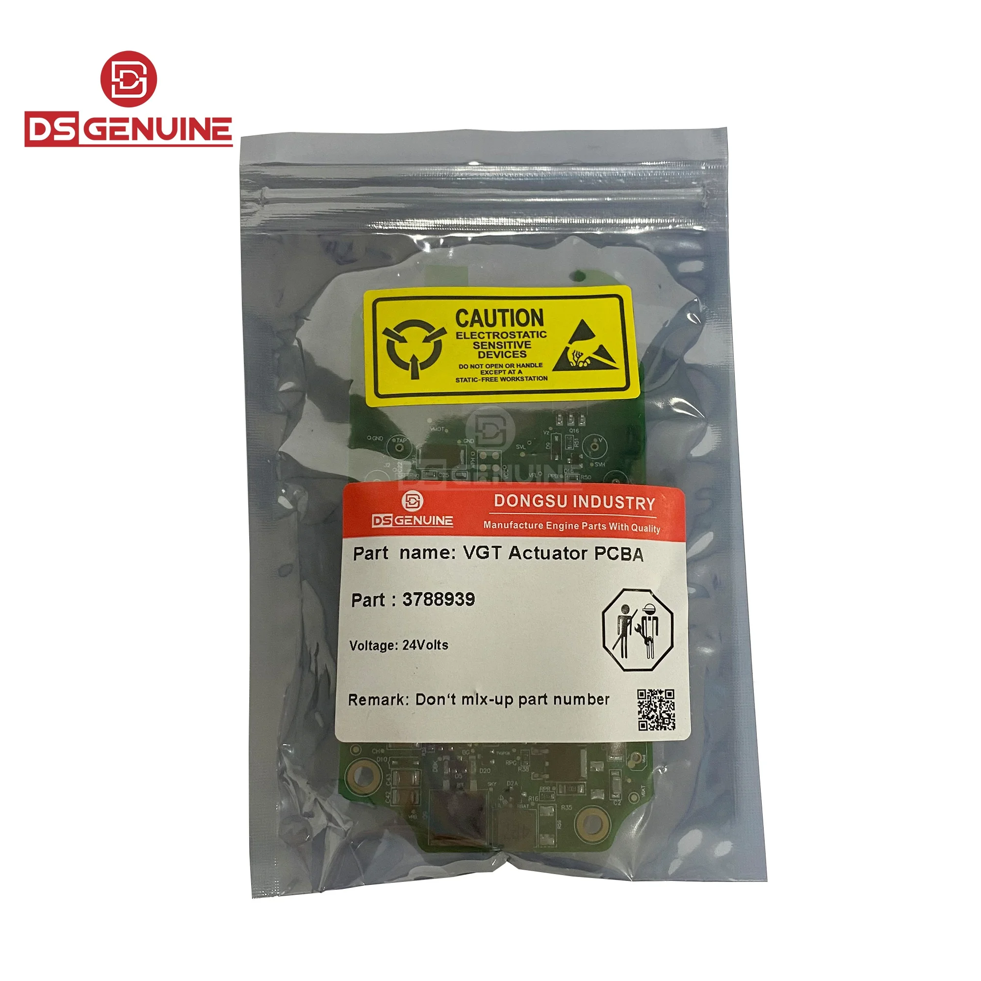 ビカクシダ P. Lemoinei no shield P. Lemoinei no shield