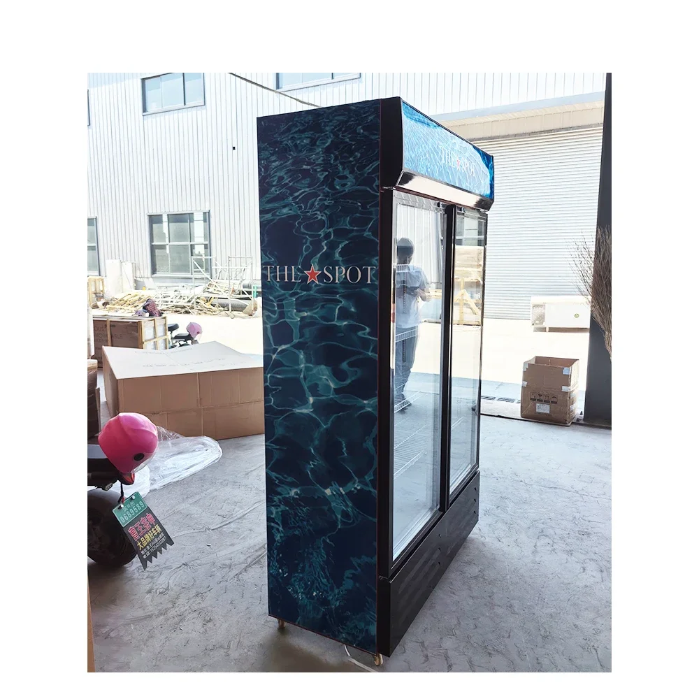 Frigidaire Double Door Fridge Frezzer Commercial Freezer 2 Dors Refrigerator Air Cooled Chiller 2
