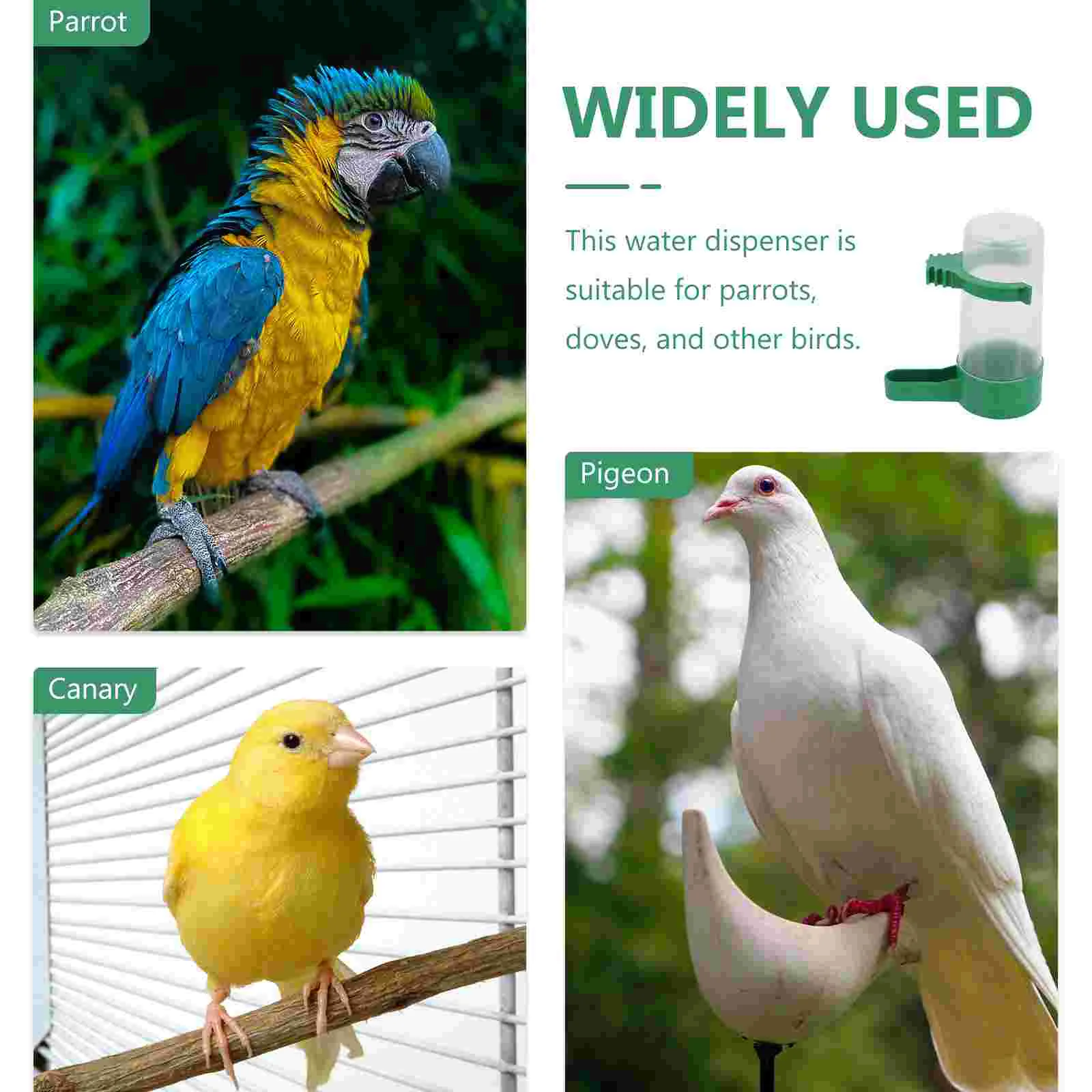 Bird Feeder Parrot Feeder Parrot Feeding Bowl Bird Water Drinker Pet Water Feeder for Bird