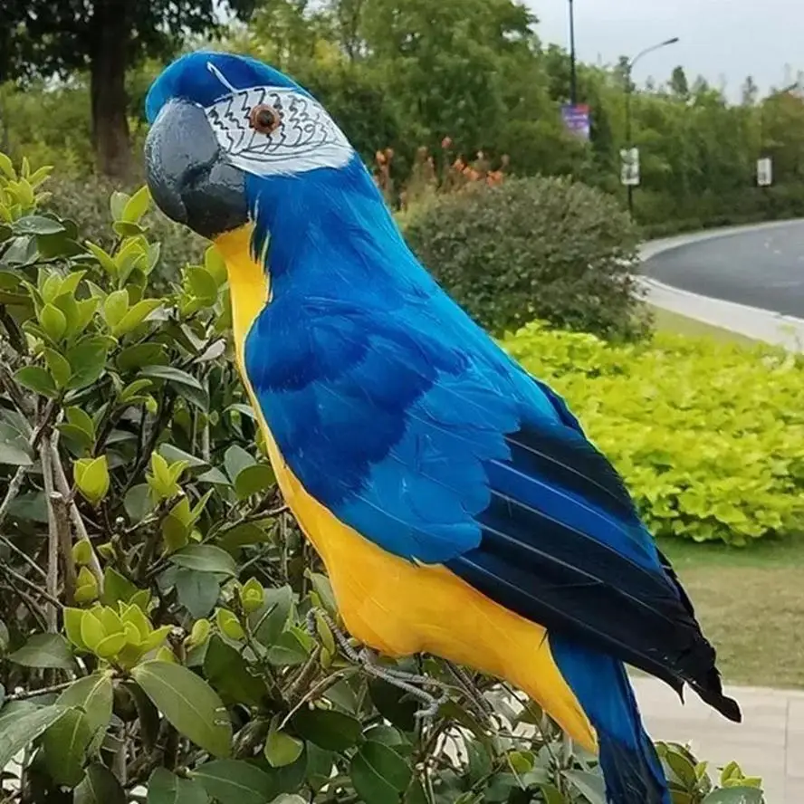 Decorative Macaw Garden Ornament 4