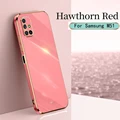 Hawthorn Red