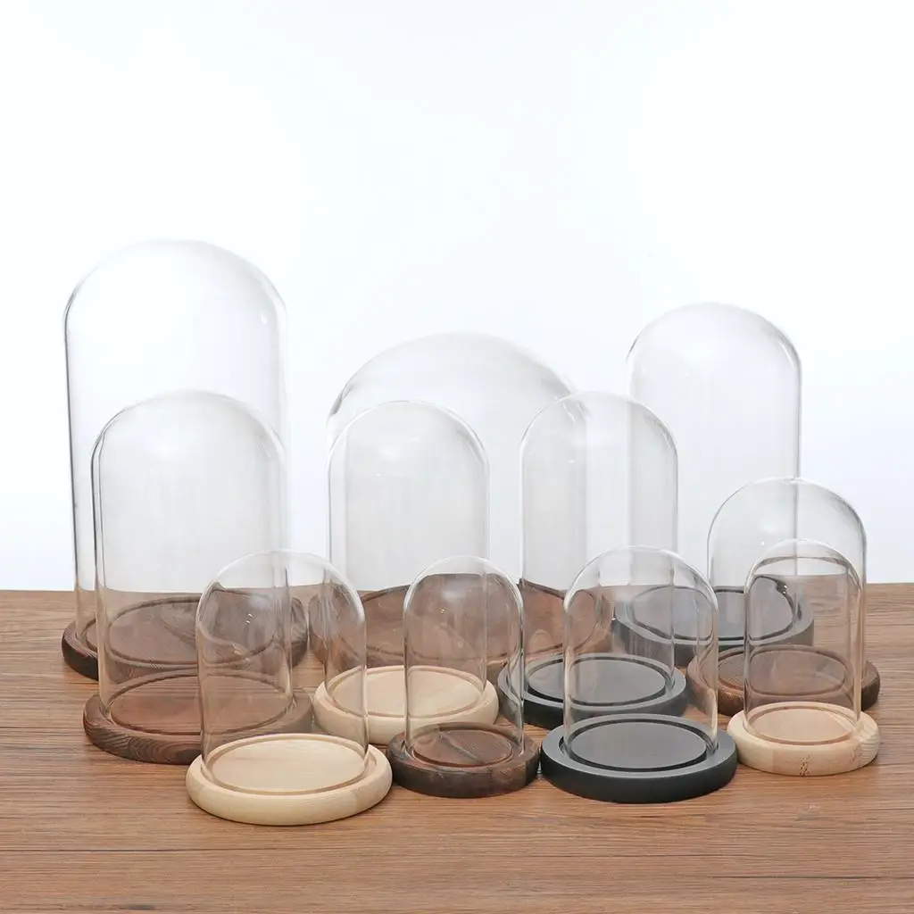 Elegant Glass Display Dome with Base for DIY Home Decor and Pinterest-Inspired Room Ideas