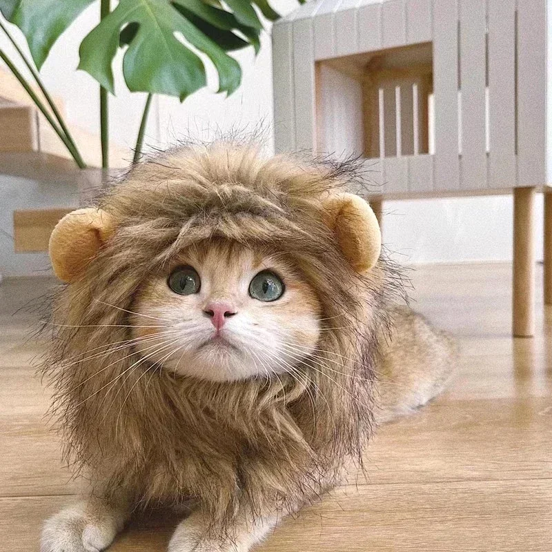 Lion Mane Hat for Cats 5
