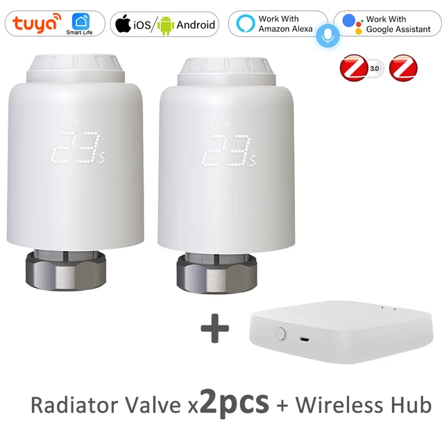 Valve x2 with Hub