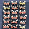 Real Butterfly, Big Silkworm Moth Specimen, Photography, Props, Home Decoration, DIY Handicraft Exhibition Collection Sculpture 3