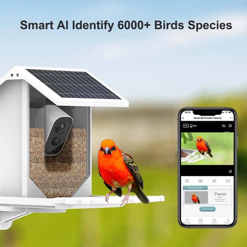 Mangiatore Per Uccelli Intelligente SucceBuy Con Telecamera, 2K HD Specie Ia Alimentato Dalla Energia Solare