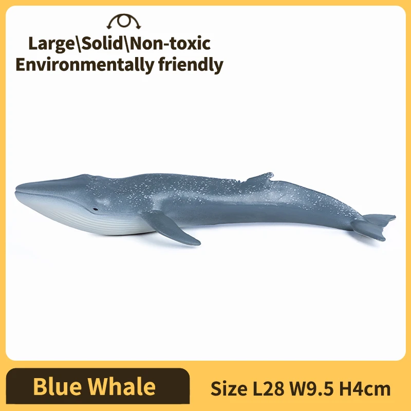Sea Life Animals Blue Whale Miniature Ocean Decoration Toy