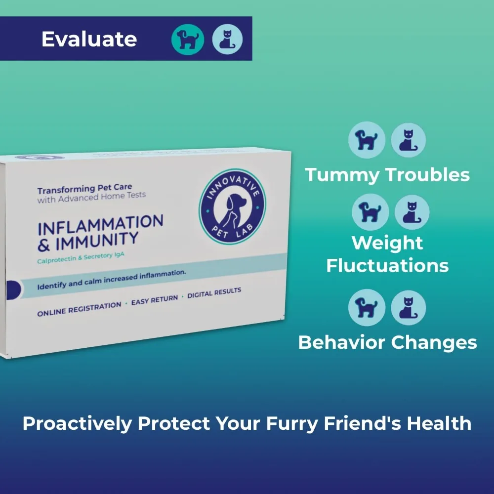 Inflammation and Immunity at-Home Test Kit Gut Health Evaluation and Expert Panel Insights Ideal for Dogs Cats Pet Essential