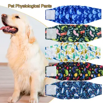 Washable Male Dog, Belly Band 1