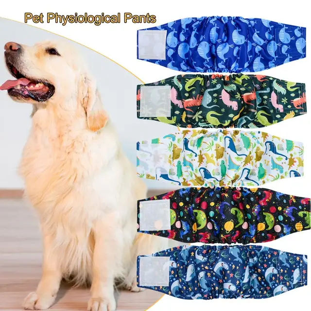 Washable Male Dog, Belly Band 1