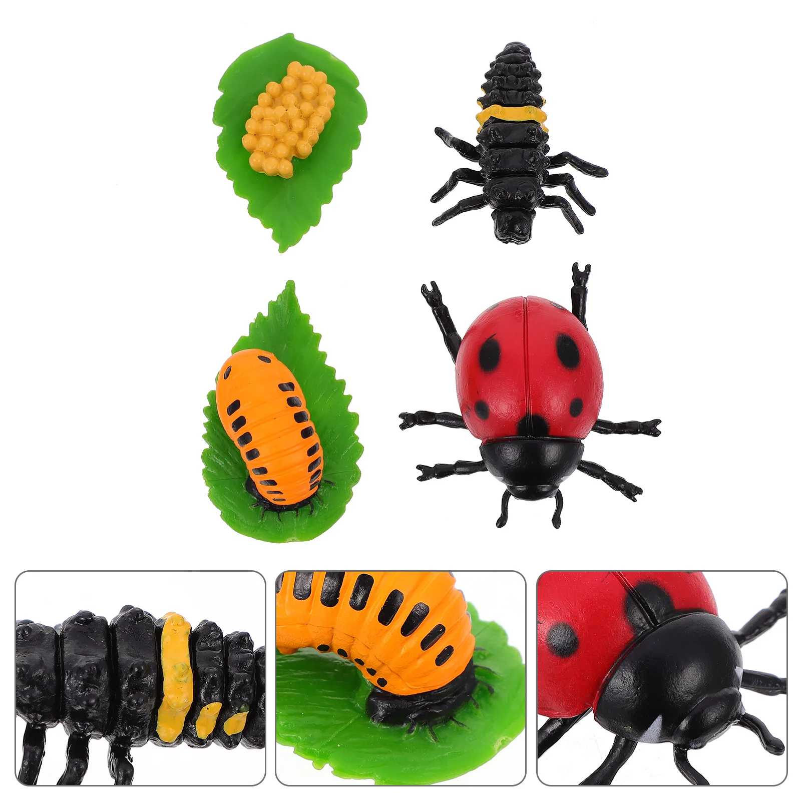

4 Pcs Ladybug Growth Ornaments Toys Life Cycle Statue Decor Plastic Kids Plaything Child