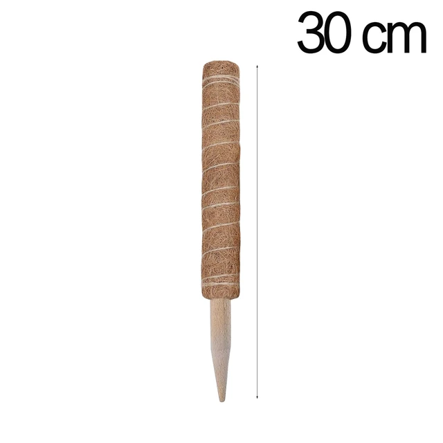 30CM