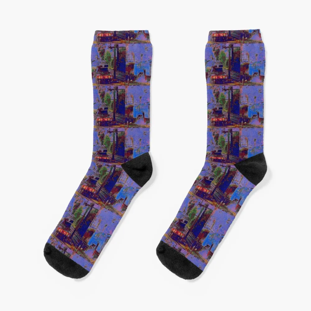 Flying Scotsman & 3801 -2 Socks halloween socks kids socks compression stockings Women ankle socks Man Socks Women's peanut butter blue socks ankle socks stockings for men compression stockings happy socks men