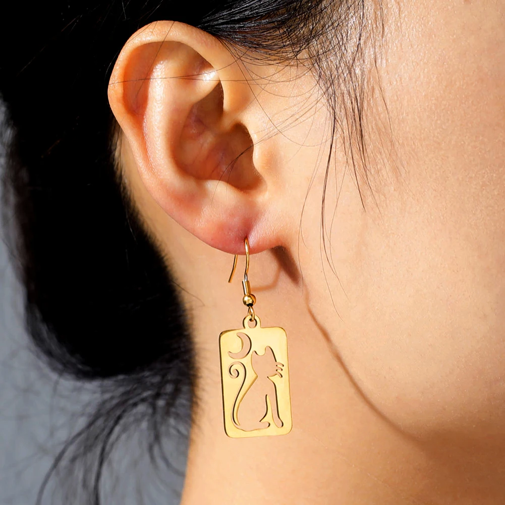 Moon Cat Rectangle Drop Earrings for Women Stainless Steel Jewelry - PeticaDeals