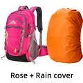 Rose and cover