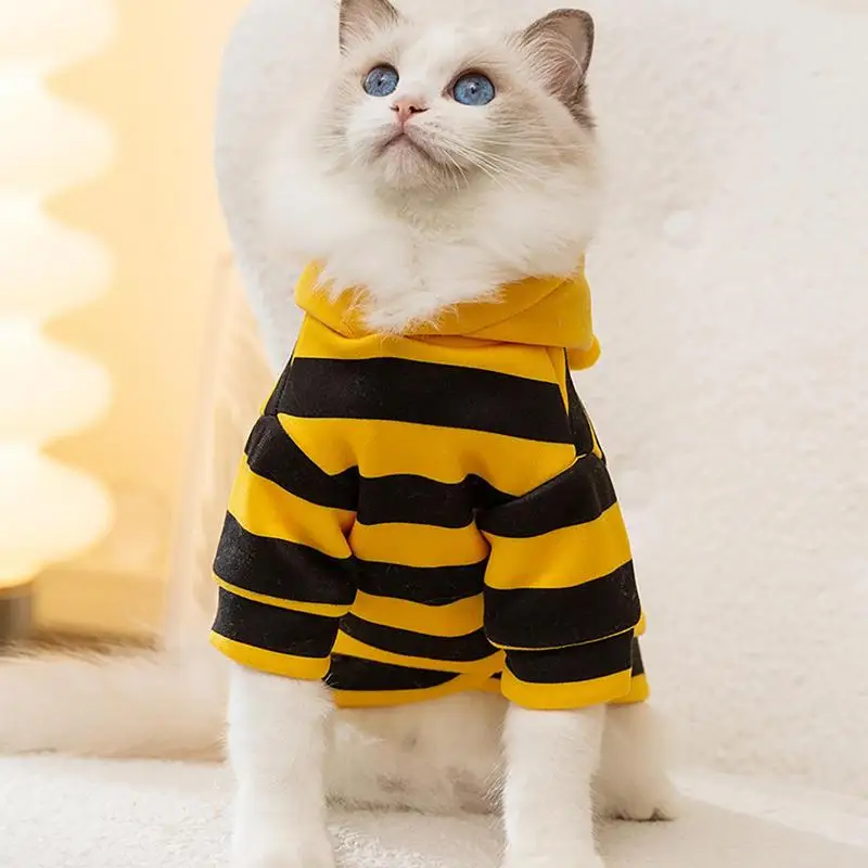 Cat Bee Costume 2