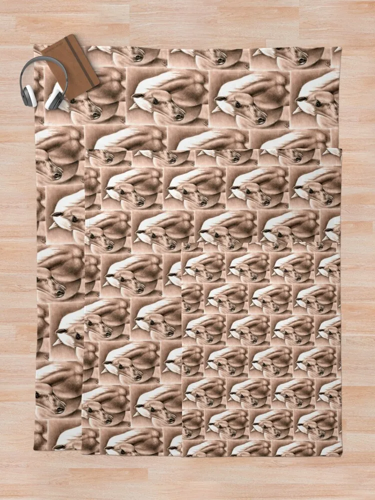 �� �ʻ�ȭ ���ø��� ������ ���, ħ��� �Ϳ��� ���