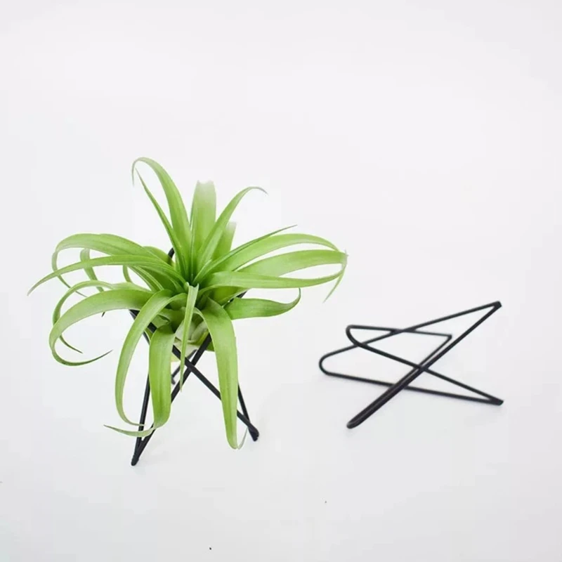 Portavasi da fiori in metallo con supporto per piante aeree, supporto geometrico in ferro per Tillandsia, display artistico  15