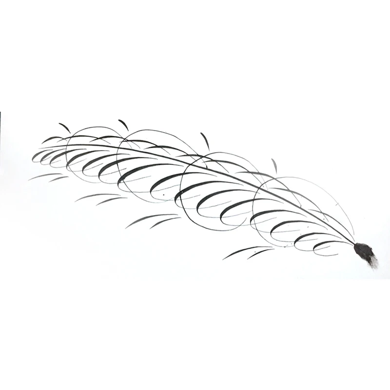 Special Designs Calligraphy Nibs Dip Pen Set For Cartoon Animation Lettering Skeching Art Drawing Mapping Decorative 9