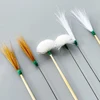 5/6pcs Feather Ear Pick Wax Remover Curette Ear Dig Tool Spoon Cleaner Stick Ear Dig Tools Ear Care Massage Relaxing 5