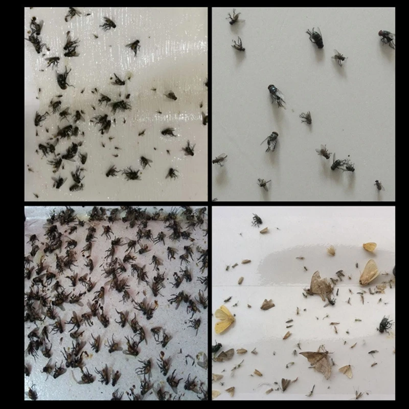 10 листов в упаковке клейкие доски прочные наклейки карты для дома улицы сада