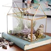Geometric Glass House / Handmade Glass Terrarium / Modern Planter for Indoor Gardening / Desktable Vase / Stained Glass Box 2