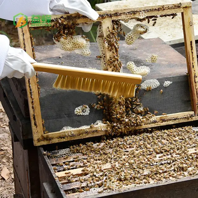 Méhkefe Dupla Sor Sörték Többcélú Fa Fogantyúkefe Méhkate Kaptár Szerszám A Farmhoz - Image 5