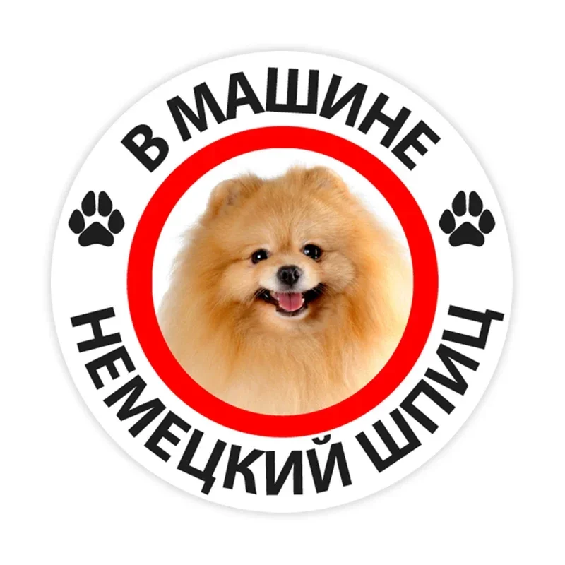

German Spitz in the Car Self-adhesive PVC Decal Car Sticker Waterproof Auto Decors on Bumper Rear Window