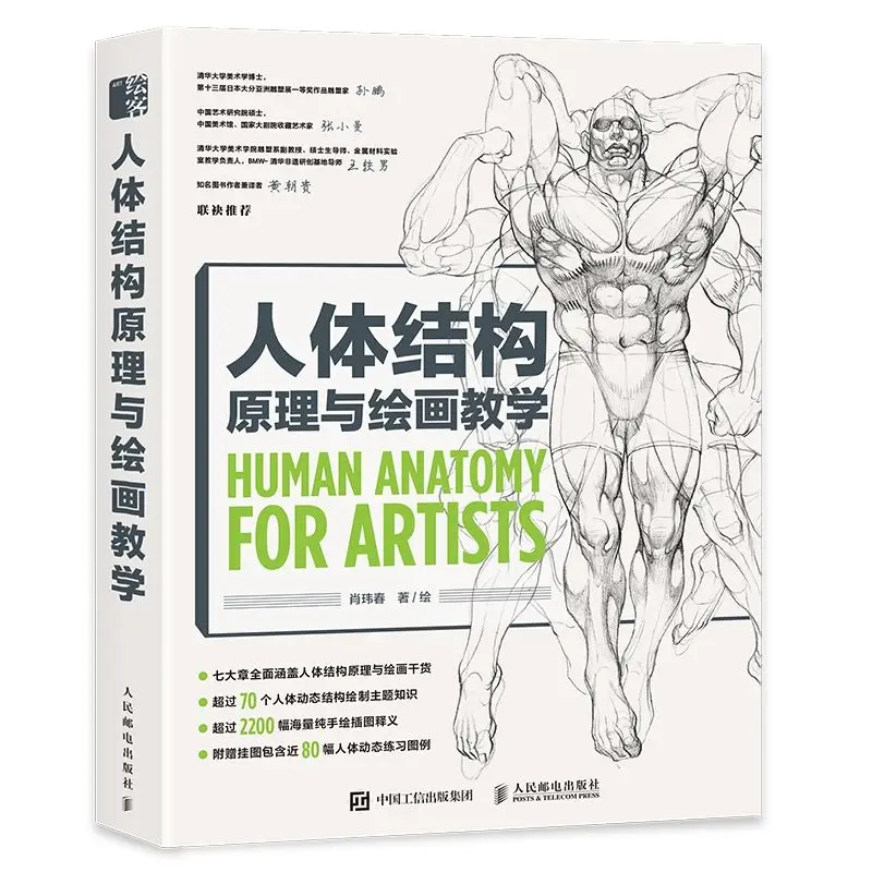 Human Body Anatomy Drawing Anatomy Books Artists Human Anatomy Draw Painting Aliexpress