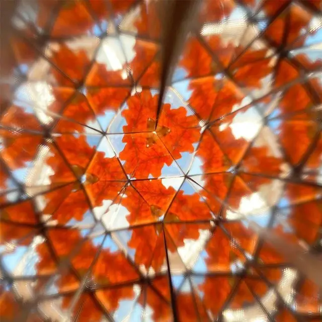 Wooden Kaleidoscope Wood Cutely Magnifier Toy Interactive Logical Rotating Kaleidoscope Baby Classic Toys Kids Educational Toys 6