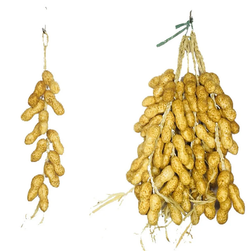 Simulation Artificial Food Vegetables For Decoration