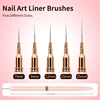 5 Pieces Set Liner Brush for Nail Art Painting,Fine Liner Brushes for Nails,Liner Nail Brush Set for Acrylic 2