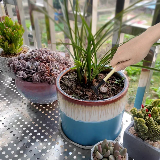 1Set Mini Kertészeti Szerszámok Lapát Gereblye Növények Palánták Zamatos Transzplanter Miniatűr Ültetési Készlet Fa Ásó - Image 5