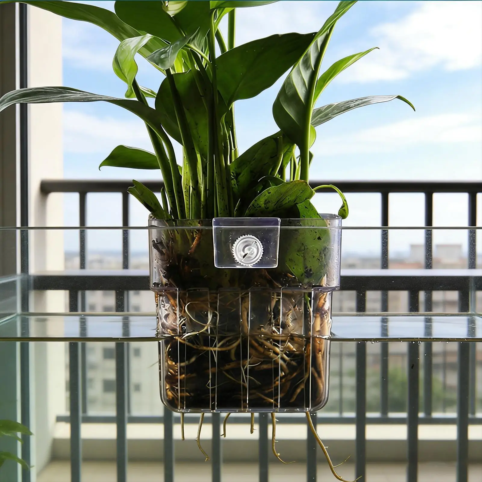 Transparent Hangable Aquarium Plant Holder for Indoor Hydroponic Cultivation