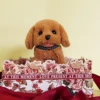 Plush Puppy, Electronic Interactive Toy Walking, Barking, Wagging Tail, Stretching Puppy Children's Gift (Teddy Dog) Christmas 5