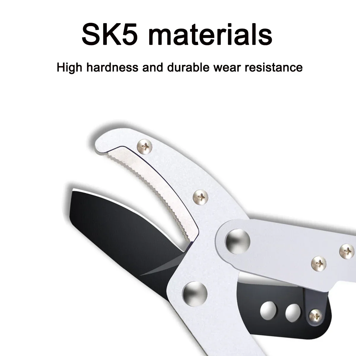 Slide image ff4e24db1b8046bf91d9a6c53d3f5160