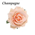 Champagne