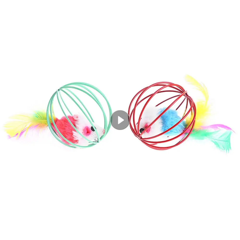 

Аксессуары для творчества и интерактивных животных