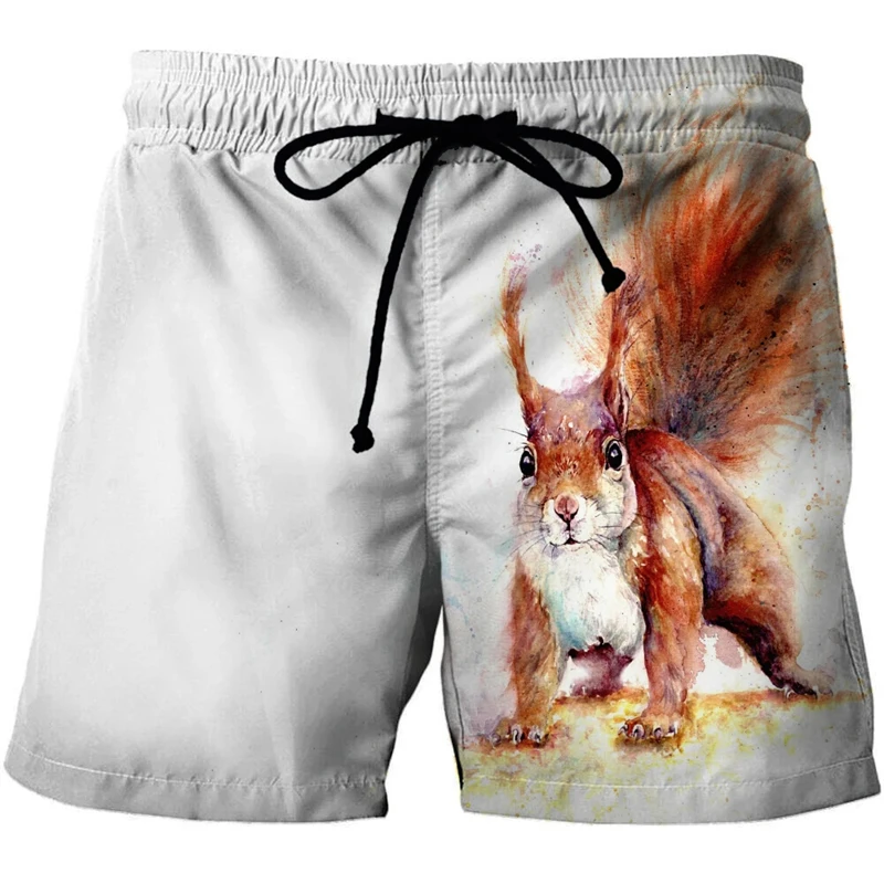 Funny Animal Squirrel Graphic Short Pants Summer Fashion  Cute Pet 3D Printed Beach Shorts For Men Casual Trunks Gym Trousers 4
