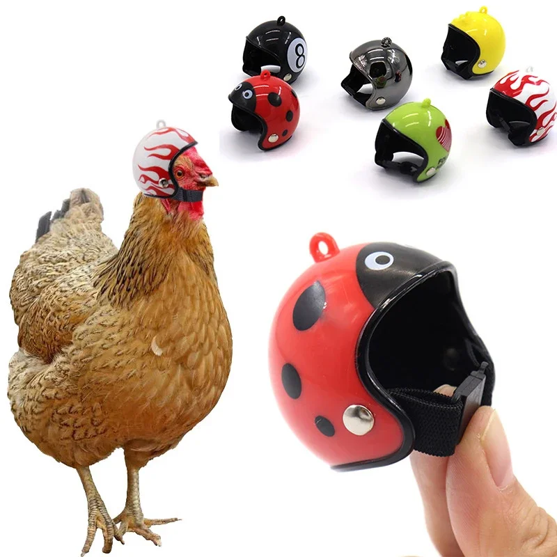 Funny Chicken Helmet Plastics Pet Protective Headgear Sun Rain Protection Hats Bird Protect Cap Pet Supplies Accessories