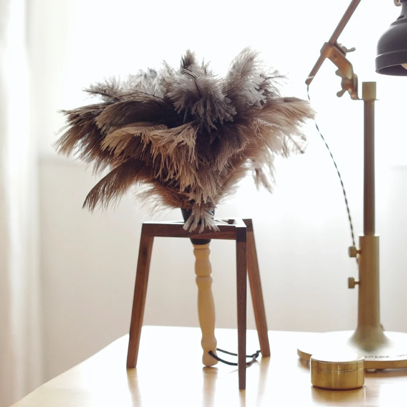 Feather Duster Wooden Handle Anti-static Dust Removal Home Cleaning