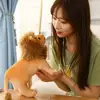 23/28CM Simulated Lion Plush Pillow Filling Toy for Children Cute Creative Soft Cotton Plush Stuffed Doll Lion Boy Girl Toy Gift 3